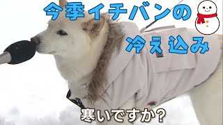 今季１番の冷え込み「さっきも転びそうになりました」ツルツル路面に注意 今シーズンの冬靴のトレンドは？ [upl. by Allegra]