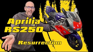 Aprilia RS250 2 Stroke Resurrection Carb clean compression check and start up [upl. by Names809]