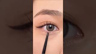 Makeup Eyeliner makeup makeuptutorial shortvideo eyeliner eyemakeup eyelinertutorial [upl. by Ettenoj249]