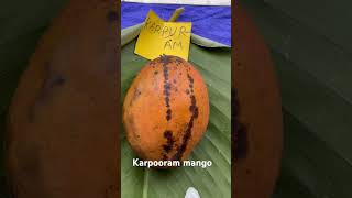 Karpooram mango [upl. by Shina]