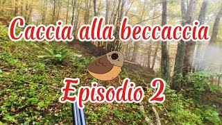 Caccia alla beccaccia  Ep2  FANTASMI D’OTTOBRE [upl. by Gherardi]