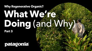 Why Regenerative Organic  Part 3 What We’re Doing and Why [upl. by Justen980]