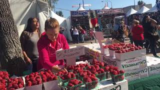 Garden Grove Strawberry Festival [upl. by Notsirt969]