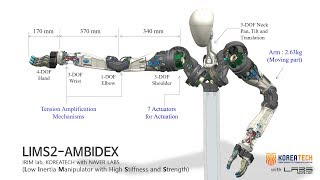 LIMS2AMBIDEX  basic motion test [upl. by Leiuqeze]