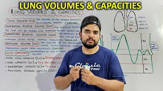 Lung Volumes and Capacities Essential Concepts for Respiratory Function [upl. by Grishilda]