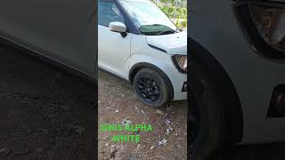 2024 Maruti Suzuki IGNIS ALPHAZETA ZXI Nexa White Queenviralvideo shorts [upl. by Ecylahs]