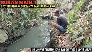 MANJUR MANCING DI SUNGAI KECIL PAKAI UMPAN TERJITU  INI BENAR² MANTEP STRIKE IKAN BABON SEMUA [upl. by Oiramrej]