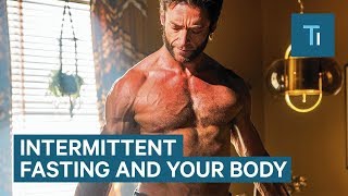 How Intermittent Fasting Affects Your Body and Brain  The Human Body [upl. by Hales392]