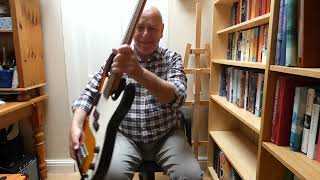 A very lonely Lone Wolf Ninja Fretless bass guitar review [upl. by Carlyle]