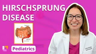 Hirschsprung Disease Alterations in Health  Gastrointestinal Pediatric Nursing  LevelUpRN [upl. by Bordie]