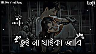 তুই না থাইকা জাবি জনম ভর  Tui Na Thaka Jabi Jonom Vor  Tik Tok viral Song  Lofi🎶Original Song [upl. by Frulla]