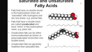 Structure and Function of Lipids [upl. by Saile]