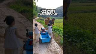 Siblings Help Elderly Man Carry Corn 🌽❤ [upl. by Haimorej733]