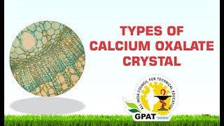 TYPES OF CALCIUM OXALATE CRYSTAL  PHARMACOGNOSY  GPAT  NIPER  PHARMACIST EXAM [upl. by Seth]