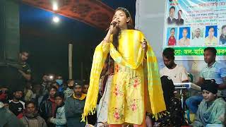 নতুন বাউল গান  সিমা সরকার  Seema Sarkar new song  Sima Sarkar  Baul Gaan [upl. by Mitchael550]