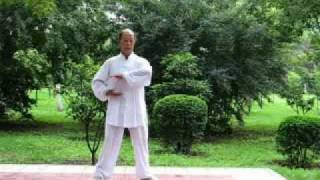 Shaolin Nei Jin Qi Gong [upl. by Jacquelin]