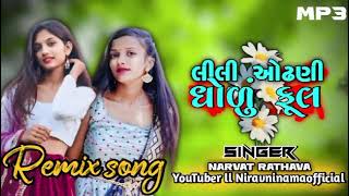 lili odhani ma taru dholu full ll singer narvat rathava ll remix by Niravninamaofficial ll 2024 new [upl. by Aidole]