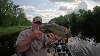 Upper Mississippi River Smallmouth Bass Slugfest August 2024 [upl. by Eisen]