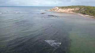 Barwon Heads 4k and 4k drone [upl. by Buyers]