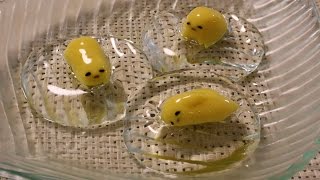 Wagashi Gudetama ～和菓子 ぐでたま Raindrop Cake [upl. by Acirat]