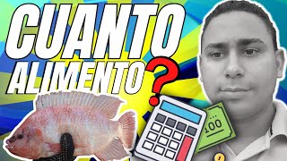 ✅ Como CALCULAR el ALIMENTO diario de los Peces  TILAPIAS  Acuicultura [upl. by Aramo371]