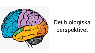 Det biologiska perspektivet ny [upl. by Sineray]