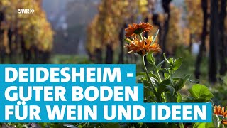 Wein inspiriert  Frische kreative Ideen aus Deidesheim [upl. by Ayanad377]