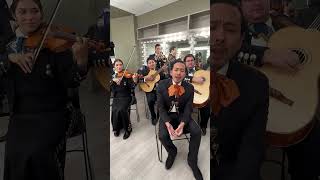 I just lost my dawg mariachi version [upl. by Amabil]