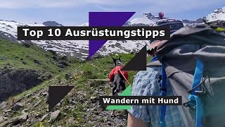 Wandern mit Hund Top 10 Ausrüstungstipps [upl. by Ideih313]