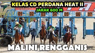 RACE 1 PERDANA CD 2TH DIV 2 quotMALINI RENGGANISquot ll SAWAHLUNTO 2024 [upl. by Ynnoj]