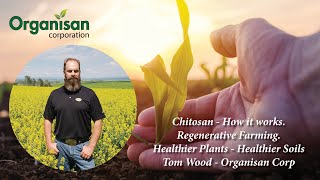 Chitosan How it works with Tom Wood [upl. by Allerus]