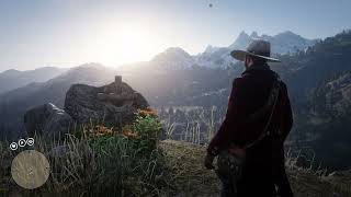 this is why getting the 100 feels so rewarding in Red Dead Redemption 2 [upl. by Fennelly470]