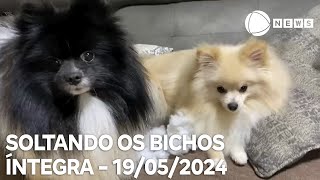 Soltando os Bichos  19052024 [upl. by Anna-Diana]