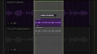 Sony C800 vs Telefunken 251  Mic Comparison [upl. by Hugues]