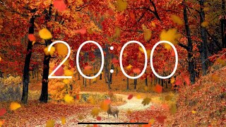 20 Minute Timer  Autumn Leaves Falling Forest Ambience [upl. by Nwahc]