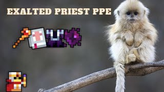 Top 50 Exalted Priest PPE  ROTMG [upl. by Sucramat]