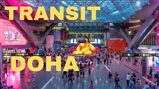 How to Transit in Doha Airport  How to Transfer flight in Hamad AirPort Doha Qatar 🇶🇦 [upl. by Imnubulo]