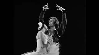 Margot Fonteyn amp Rudolf Nureyev beautiful performance SWAN LAKE a Tchaikovsky ballet 1965 [upl. by Ttayh968]