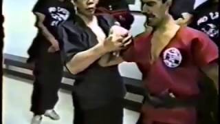 Swai Jiaos Dai Bu Shu seminar online [upl. by Notlrahc]