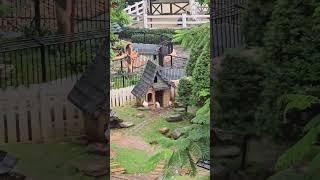 CIMORY DAIRYLAND PUNCAK PART 10 cimorydairylandpuncak rabbit intherain [upl. by Thornburg744]