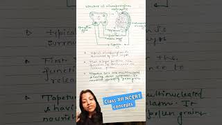 Detailed structure of microsporangia ncertsolutions neet recall biology tapetum youtubeshorts [upl. by Fife]