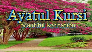 Ayatul Kursi Beautiful Recitation ayatulkursi quranpak education tilawat [upl. by Mcgregor]