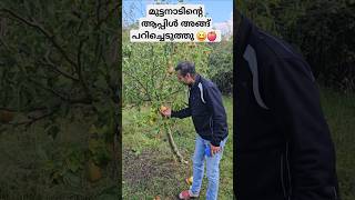 അല്ല പിന്നെ പിയർ ❤️😆 ukmalayali kerala familyvlogs malayalamfamilyvlog apple trip india [upl. by Christen]