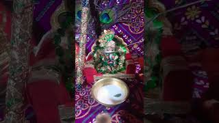 Laddu gopal drinking milk laddugopal jaigopal [upl. by Estis]