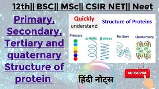 Priimary Secondary Tertiary and quaternary structure of proteins MSc zoology 1St semesterNotes [upl. by Ah]