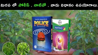 Gharuda company police insecticide bayer nativo fungicide telugu police insecticide uses in telugu [upl. by Eeima687]