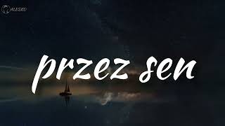 Alesko  Przez sen Official Music Audio [upl. by Macdonell]