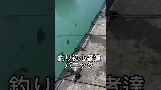 【沖縄】釣った魚がデカすぎてパニックになる釣り初心者（釣りあるある） 【もとぶ元気村】沖縄本島 生き物 生物 釣り堀 観光 旅行 おでかけ 本部町 熱帯魚 レジャースポット [upl. by Gershon]