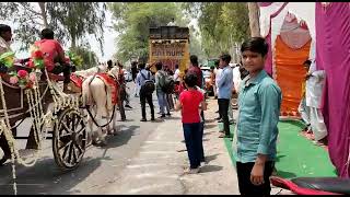 Hariyana me kheta me Sona uglega reta new video dj Rathore Hodal full video enjoy no1 dj Rathore [upl. by Greenfield]