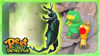 Big Bad Beetles💪🕵️‍♀️  Nature Stories For Kids  Peet The Forest Detective [upl. by Yssirhc151]